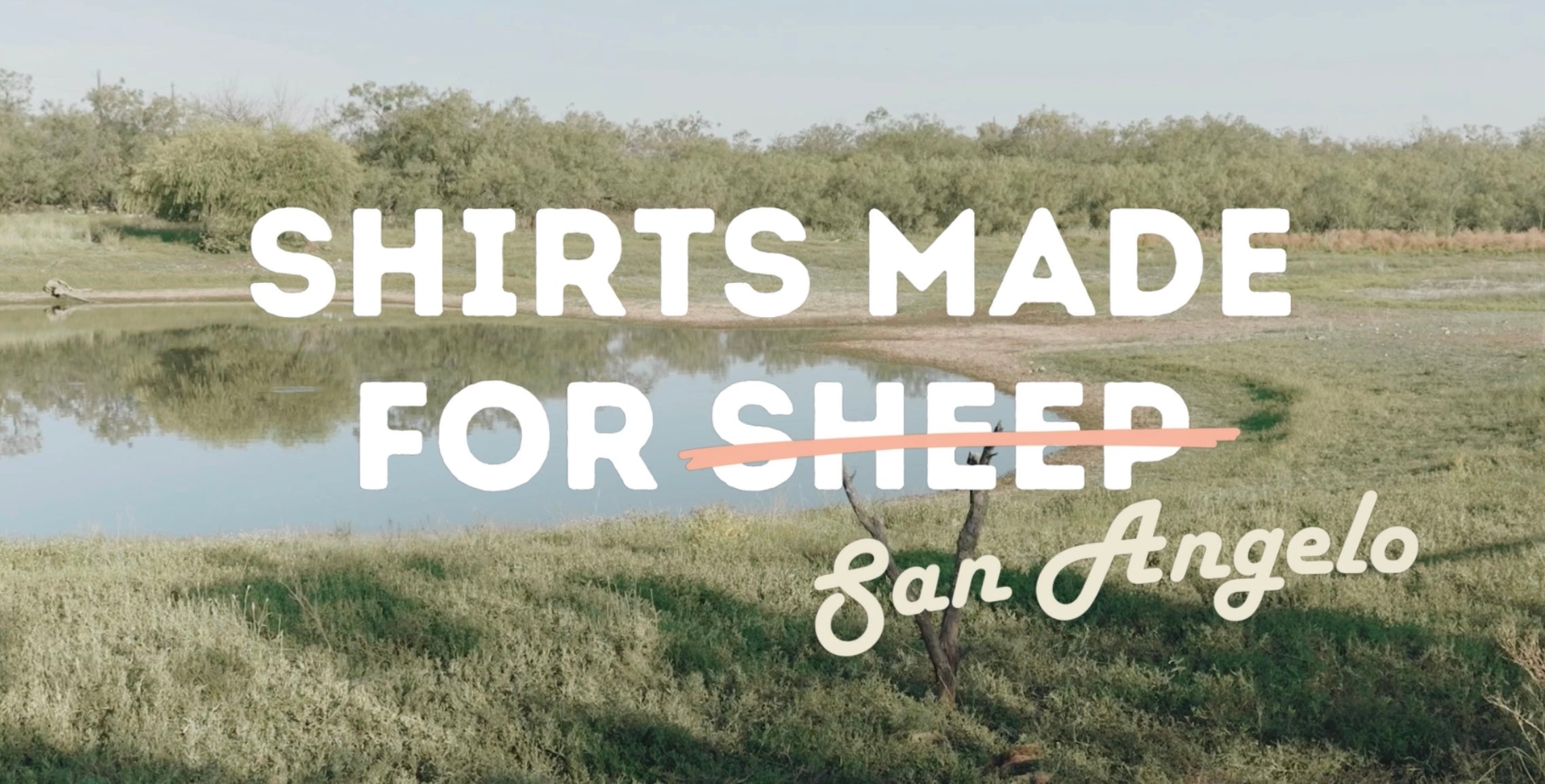 Home page – The Sheep Shop